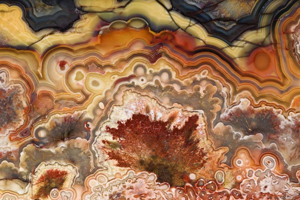 Mexico Close-up of Crazy Lace Agate stone art print by Dennis Kirkland for $57.95 CAD