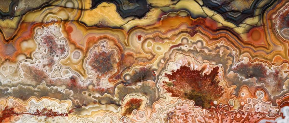 Mexico Close-up of Crazy Lace Agate stone art print by Dennis Kirkland for $57.95 CAD