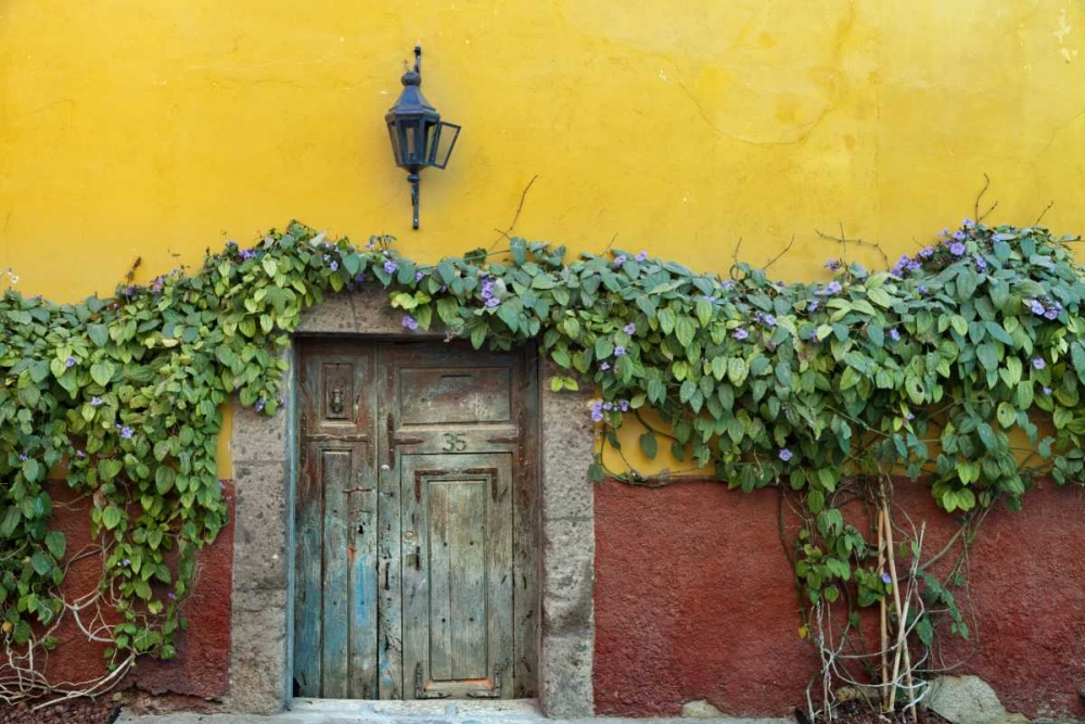 Mexico Doorway to colorful building art print by Don Paulson for $57.95 CAD