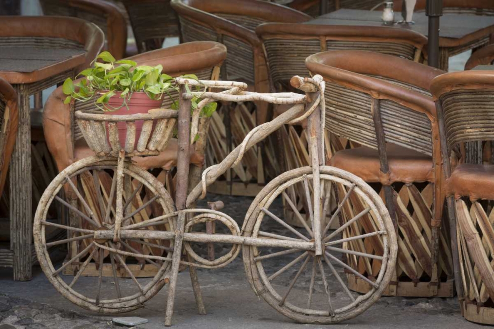 Mexico, Guanajuato Bicycle with potted plant art print by Don Paulson for $57.95 CAD