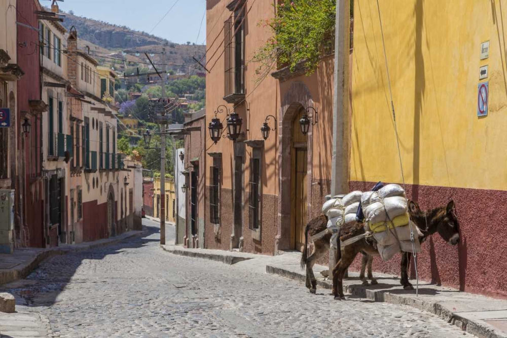 Mexico Two laden donkeys on sidewalk art print by Don Paulson for $57.95 CAD