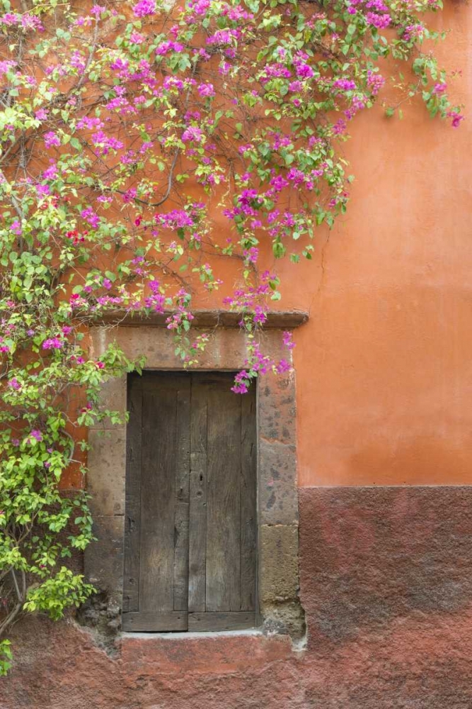 Mexico Bougainvillea outside wooden doorway art print by Don Paulson for $57.95 CAD