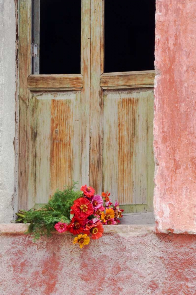 Mexico Zinnias outside window frame art print by Nancy Rotenberg for $57.95 CAD