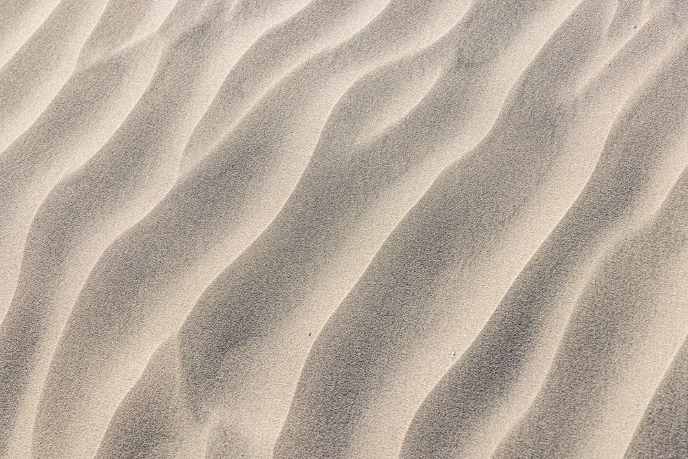 Guerrero Negro- Mulege- Baja California Sur- Mexico. Sand dunes along the western coast. art print by Emily Wilson for $57.95 CAD