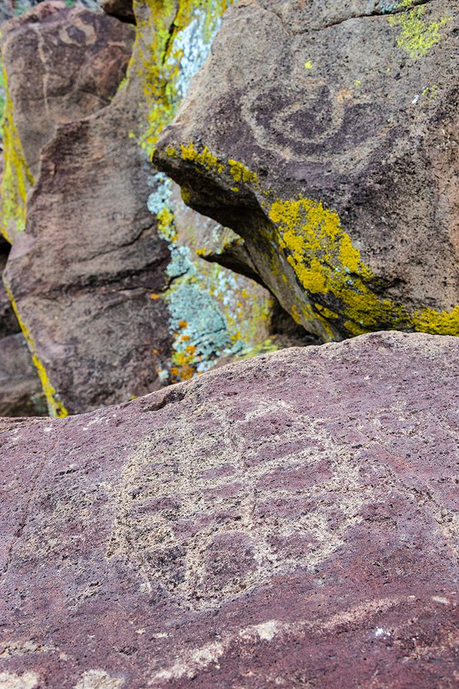 Mexico-Baja California Sur-Sierra de San Francisco. Petroglyphs at remote spring-La Higuerita. art print by Fredrik Norrsell for $57.95 CAD
