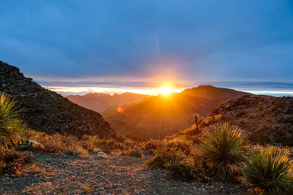 Mexico-Baja California Sur-Sierra de San Francisco. Desert sunrise from a mountain pass. art print by Fredrik Norrsell for $57.95 CAD