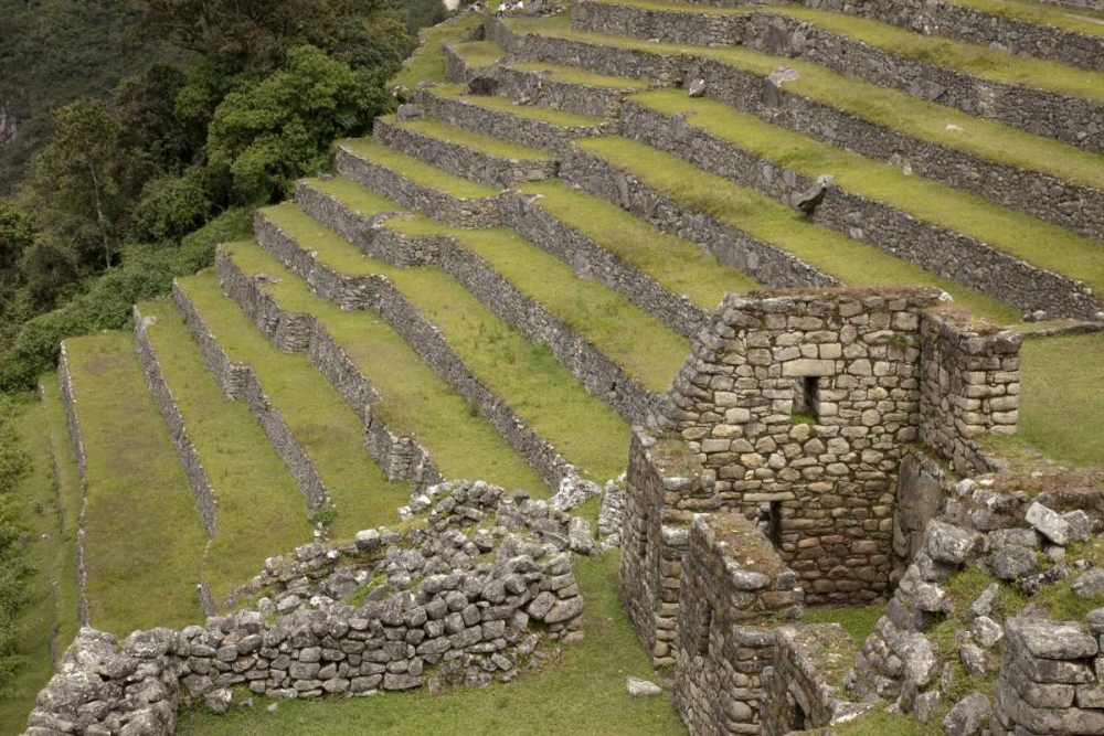 Peru, Machu Picchu Agricultural terraces art print by Wendy Kaveney for $57.95 CAD