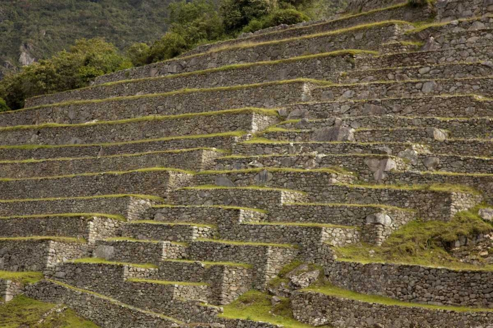 Peru, Machu Picchu Agricultural terraces art print by Wendy Kaveney for $57.95 CAD