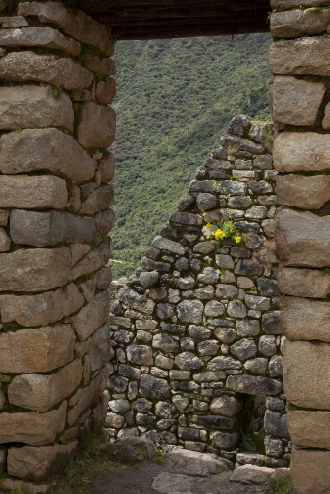 Peru, Machu Picchu Looking though window ruins art print by Wendy Kaveney for $57.95 CAD