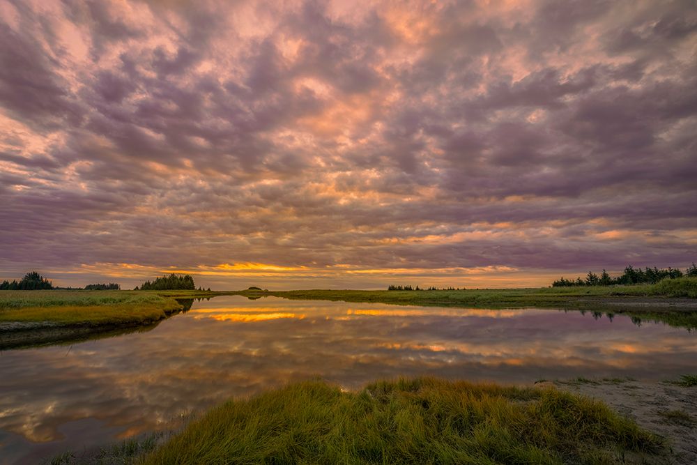 Sunrise on slough of Silver Salmon Creek-Lake Clark National Park and Preserve-Alaska art print by Adam Jones for $57.95 CAD