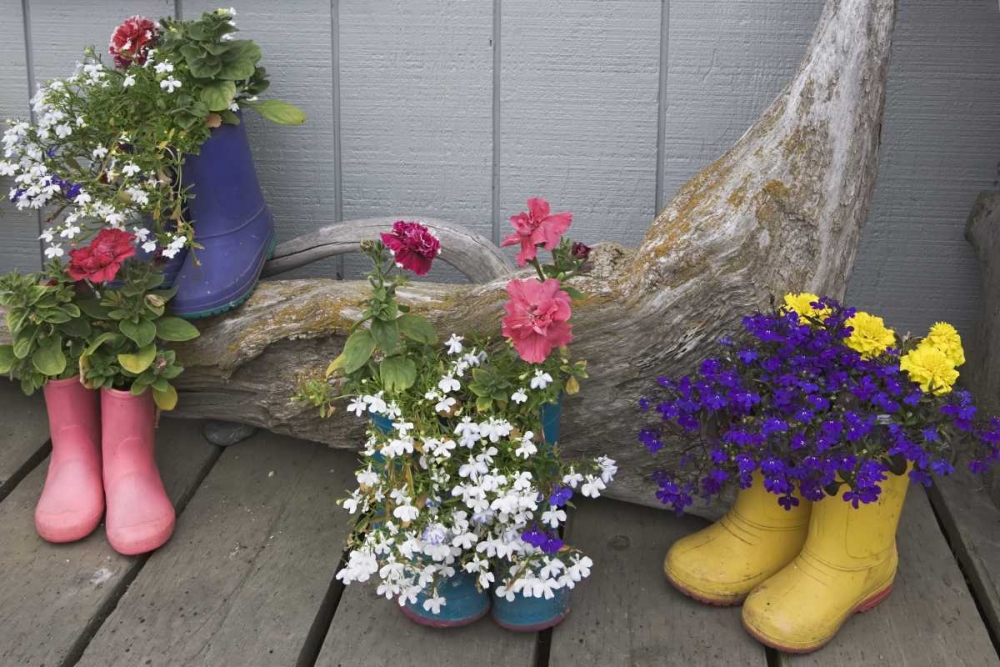 Alaska, Homer Rubber boots used as flower pots art print by Dennis Flaherty for $57.95 CAD