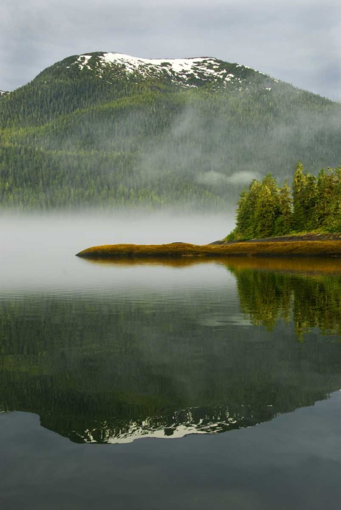 Alaska, Inside Passage Foggy forest and Mountain art print by Nancy Rotenberg for $57.95 CAD