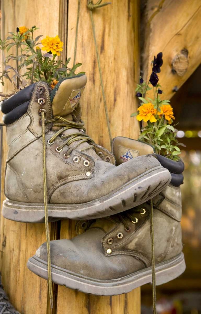 AK, Talkeetna Hiking boots planted with flowers art print by Wendy Kaveney for $57.95 CAD