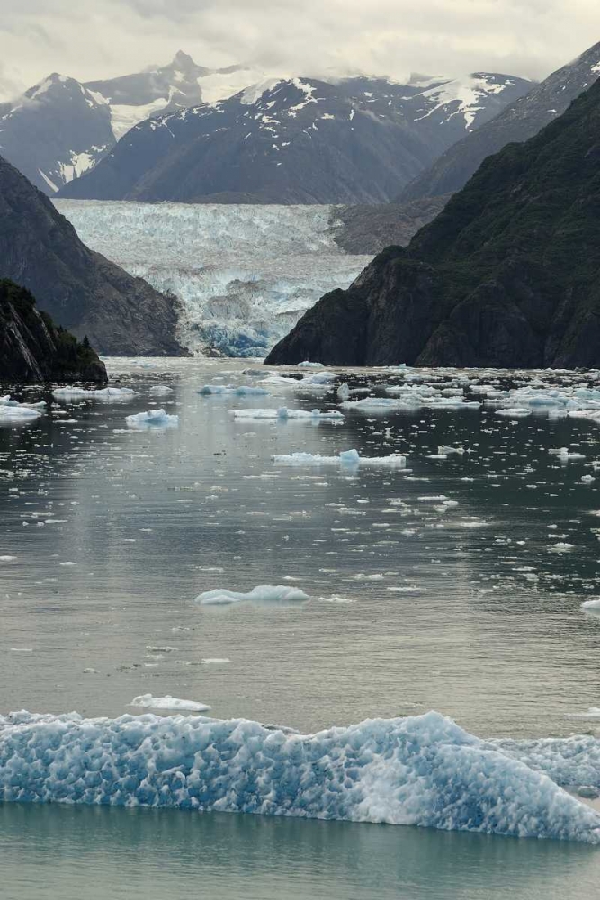 Alaska, Tracey Arm View of South Sawyer Glacier art print by Nancy ,  Steve Ross for $57.95 CAD