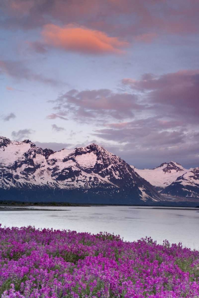 AK, Alsek River and Fairweather Range at sunset art print by Don Paulson for $57.95 CAD