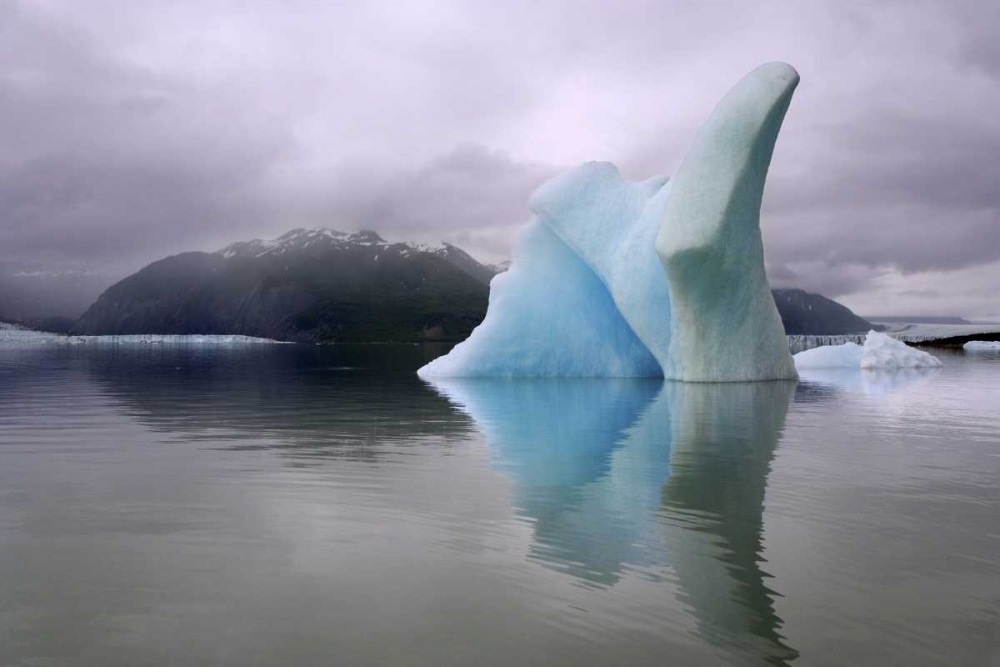 Alaska, Alsek River Valley Iceberg on Alsek Lake art print by Don Paulson for $57.95 CAD