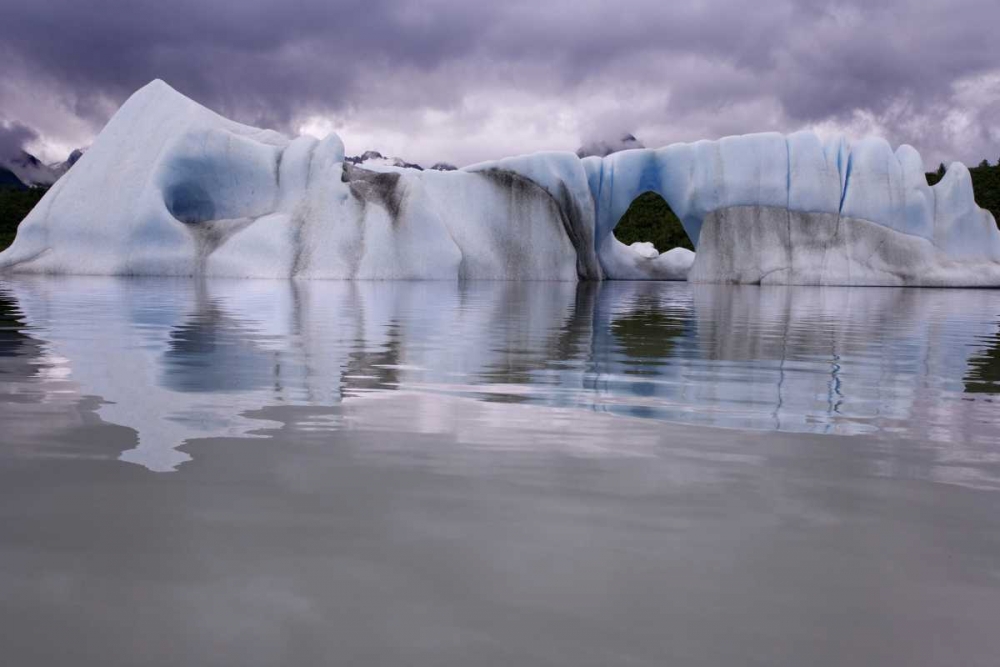 Alaska, Alsek River Valley Iceberg on Alsek Lake art print by Don Paulson for $57.95 CAD