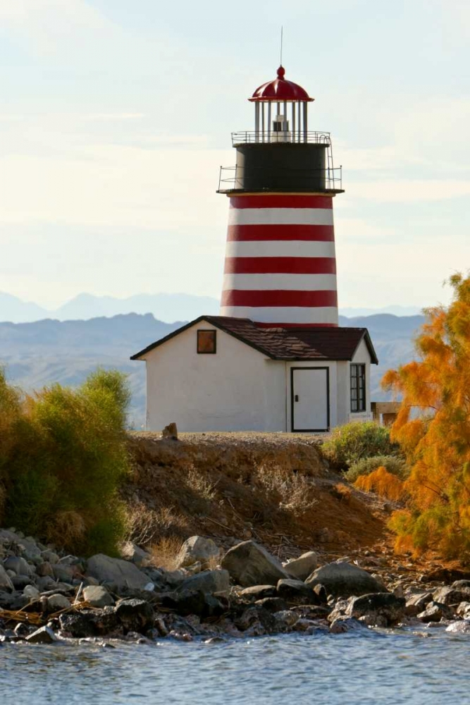AZ, Lake Havasu City West Quoddy Lighthouse art print by Fred Lord for $57.95 CAD