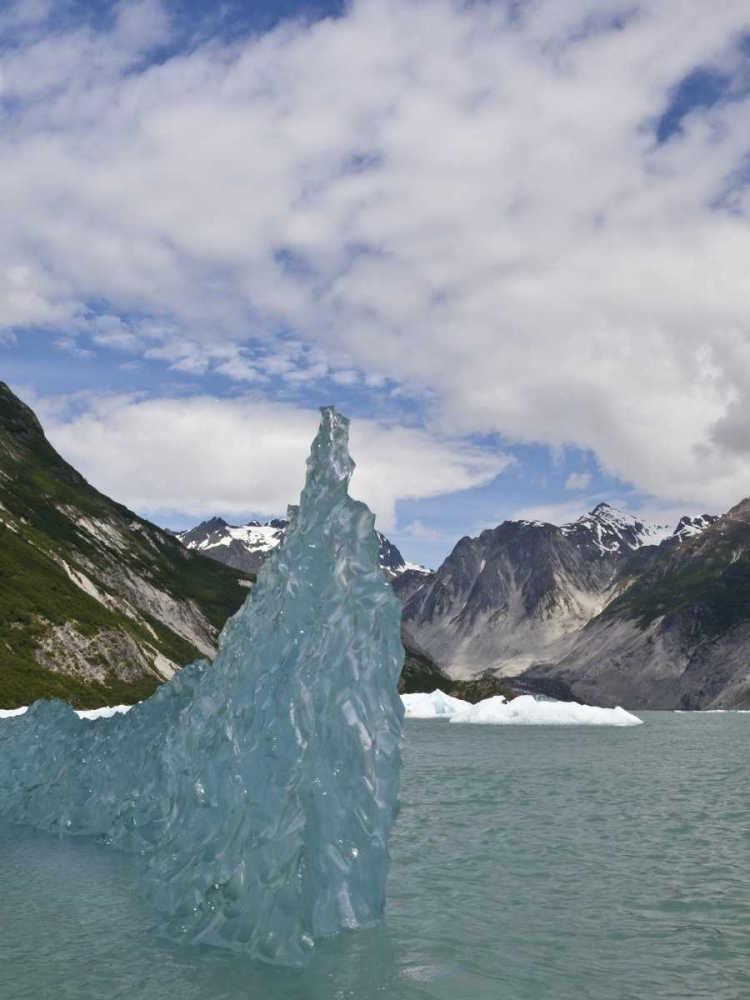 AK, Glacier Bay NP Floating iceberg art print by Don Paulson for $57.95 CAD