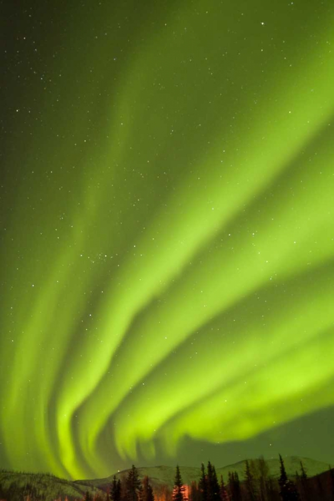 AK, Fairbanks Aurora borealis fill the night sky art print by Cathy and Gordon Illg for $57.95 CAD