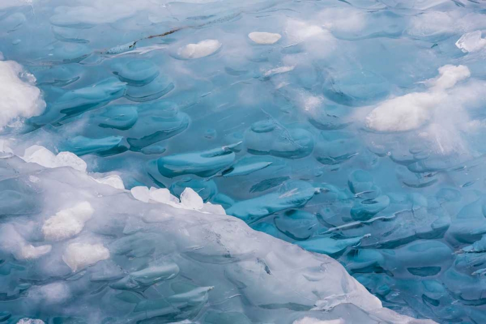 USA, Alaska, Glacier Bay NP Close-up of blue ice art print by Don Paulson for $57.95 CAD