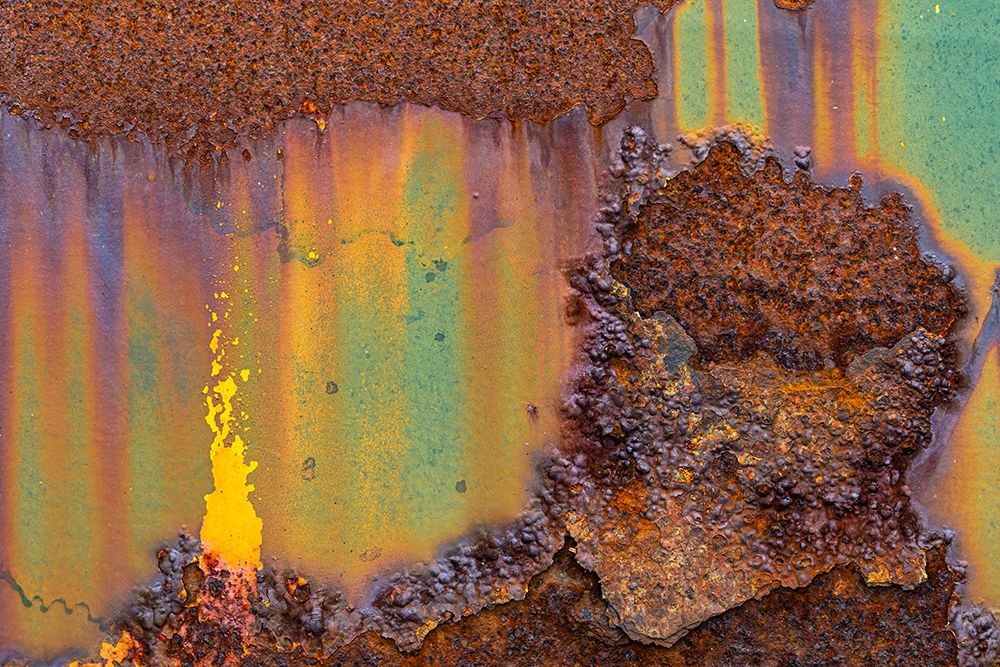 Alaska-Tongass National Forest Rusted metal from an abandoned gold mine art print by Jaynes Gallery for $57.95 CAD