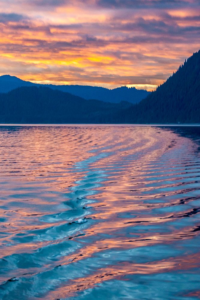 USA-Alaska-Tongass National Forest Sunset reflections on inlet water art print by Jaynes Gallery for $57.95 CAD