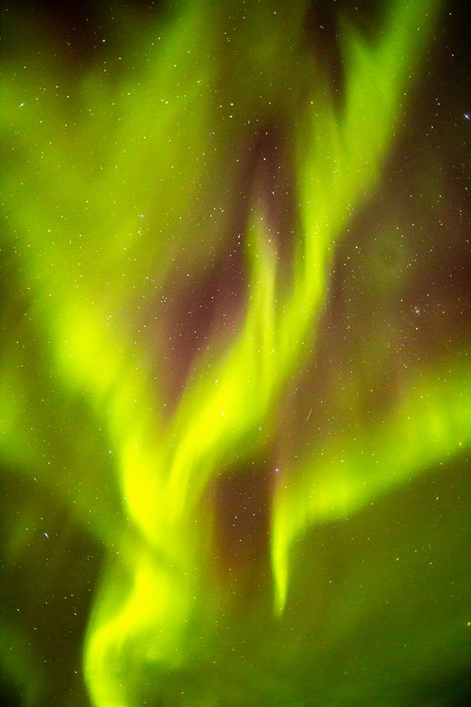 USA-Alaska-Fairbanks Aurora borealis fills night sky art print by Jaynes Gallery for $57.95 CAD