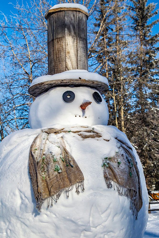 USA-Alaska-Chena Hot Springs Resort Close-up of snowman art print by Jaynes Gallery for $57.95 CAD