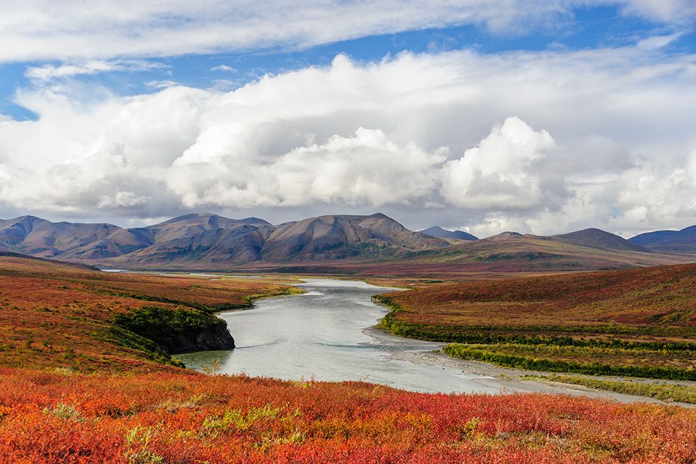 USA- Alaska- Noatak National Preserve. Arctic tundra in autumn colors along the Noatak River. art print by Fredrik Norrsell for $57.95 CAD