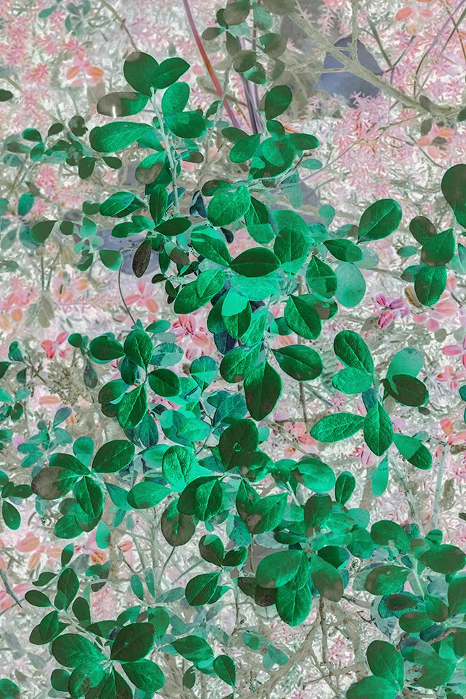 Alaska- Denali National Park. Artistic rendering of leaves. art print by Janet Muir for $57.95 CAD
