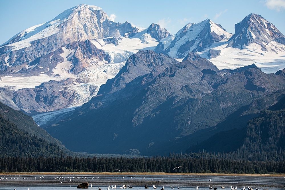 Cook Inlet-Lake Clark National Park and Preserve-Alaska art print by Jolly Sienda for $57.95 CAD