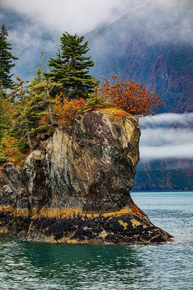Prince William Sound-Alaska-Valdez-island-autumn-color-evergreen-fog art print by Jolly Sienda for $57.95 CAD