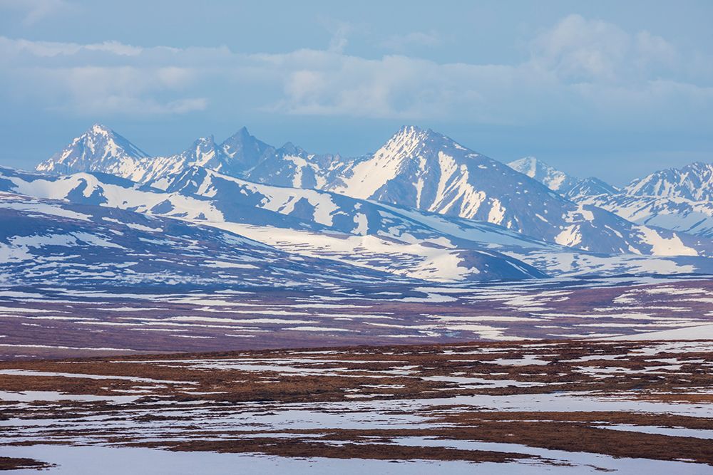 Springtime on the arctic tundra landscape of the Seward Peninsula art print by Ken Archer for $57.95 CAD