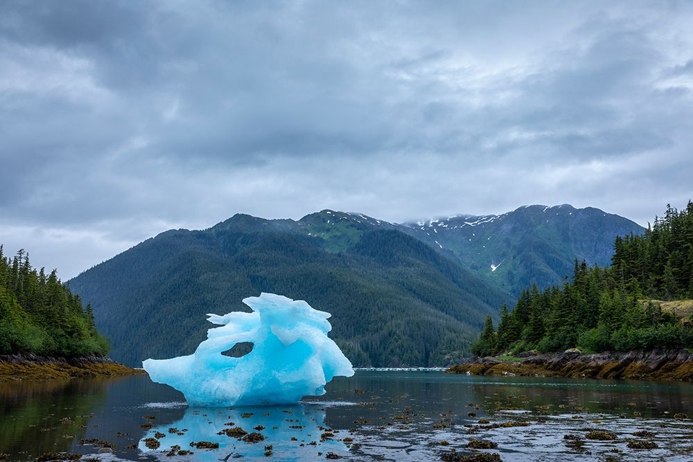 Alaska-Petersburg-Large iceberg from LeConte Glacier grounded at low tide in LeConte Bay art print by Paul Souders for $57.95 CAD