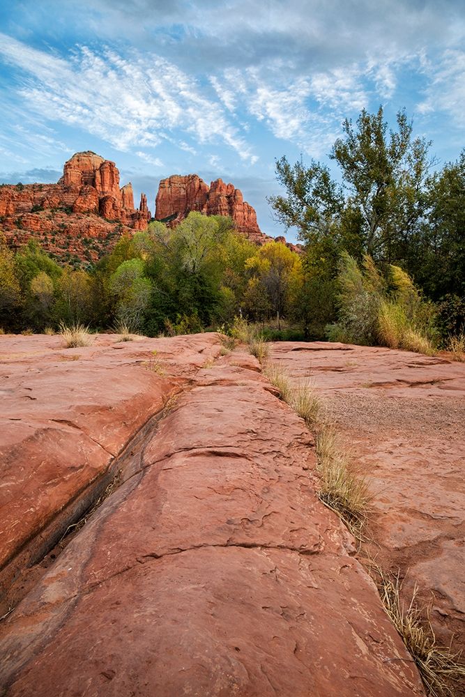 Arizona-Sedona-Red Rock State Park-Cathedral Rock art print by Ann Collins for $57.95 CAD