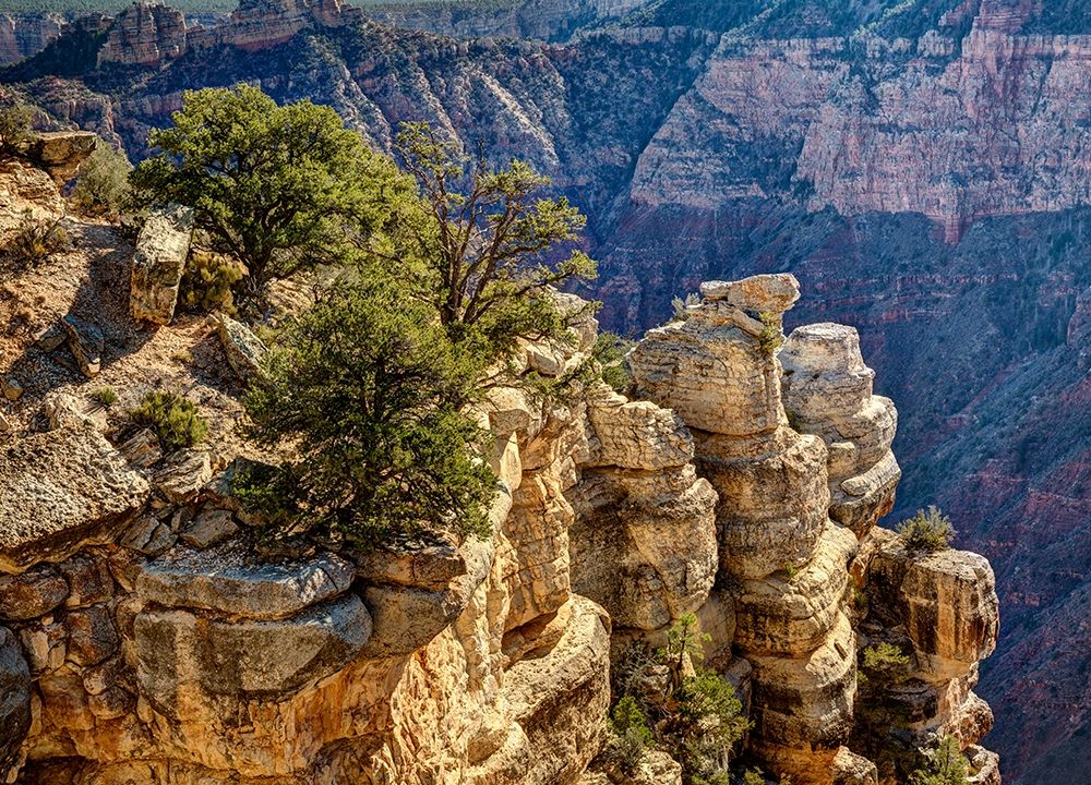 Arizona-Grand Canyon National Park-Rocks and trees at Grandview Point art print by Ann Collins for $57.95 CAD