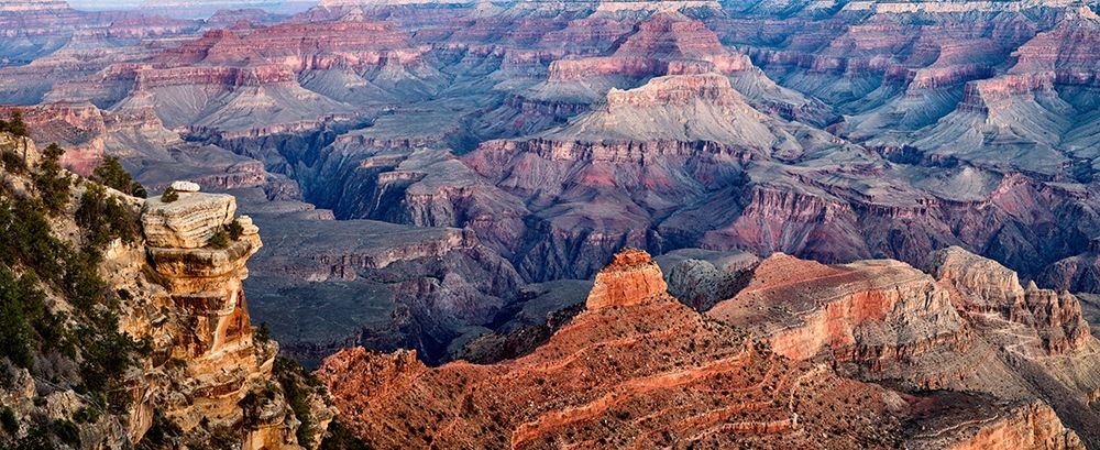 Arizona-Grand Canyon National Park-Panoramic view of dawn from Yaki Point art print by Ann Collins for $57.95 CAD