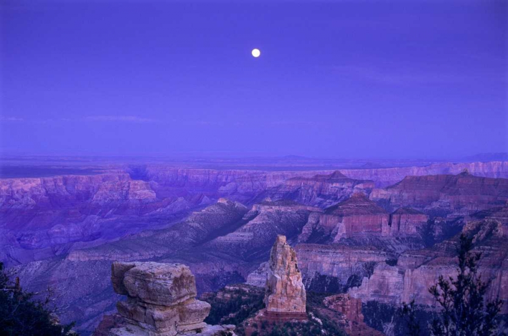 AZ, Grand Canyon, Moonrise over Point Imperial art print by Dave Welling for $57.95 CAD