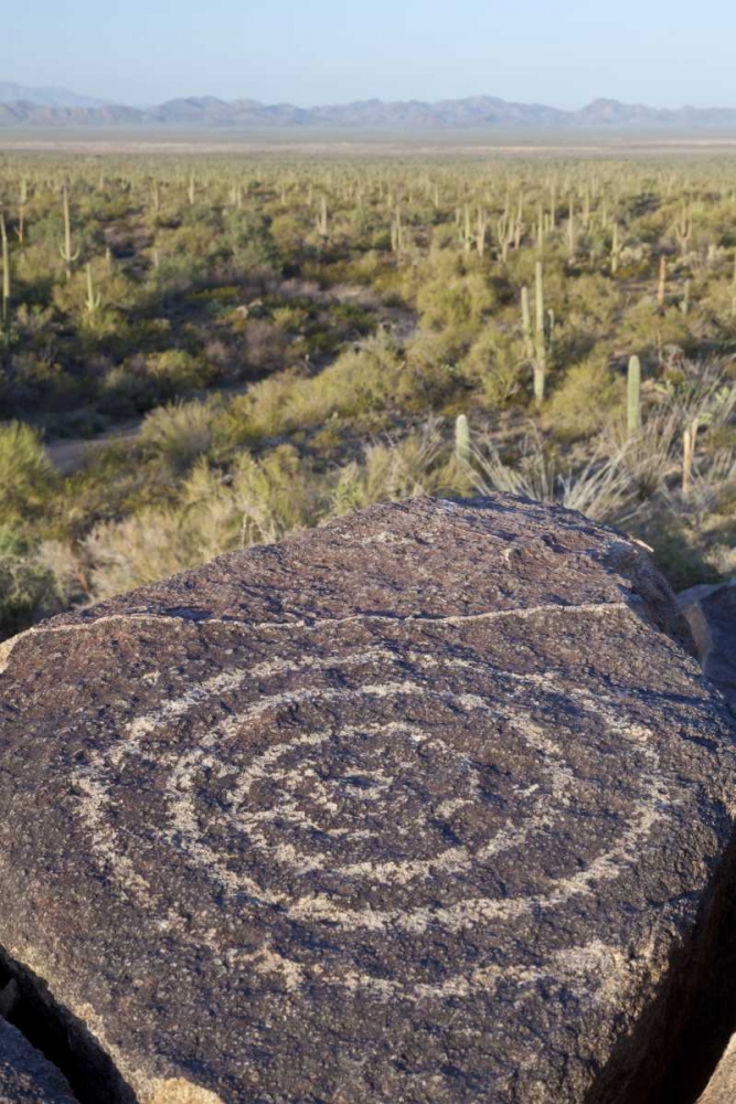 Arizona, Saguaro NP Hohokam Indian petroglyph art print by Don Paulson for $57.95 CAD