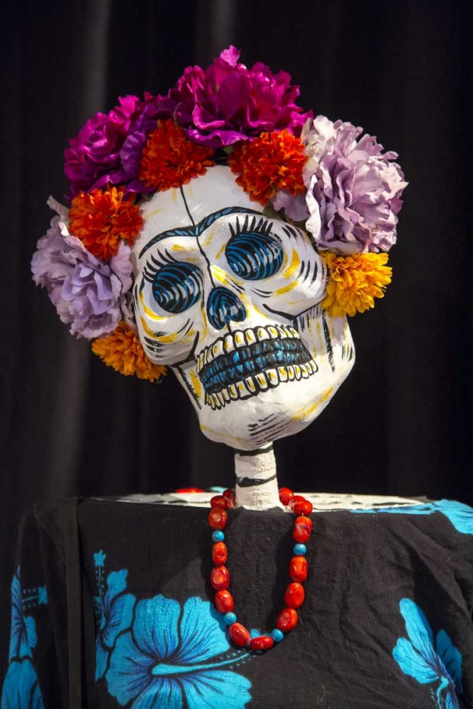 AZ, Phoenix Skeleton with hair made of flowers art print by Wendy Kaveney for $57.95 CAD