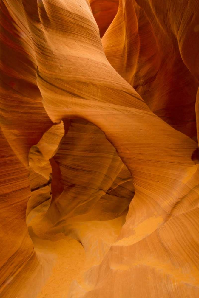 AZ, Lower Antelope Canyon Slot canyon formation art print by Cathy and Gordon Illg for $57.95 CAD