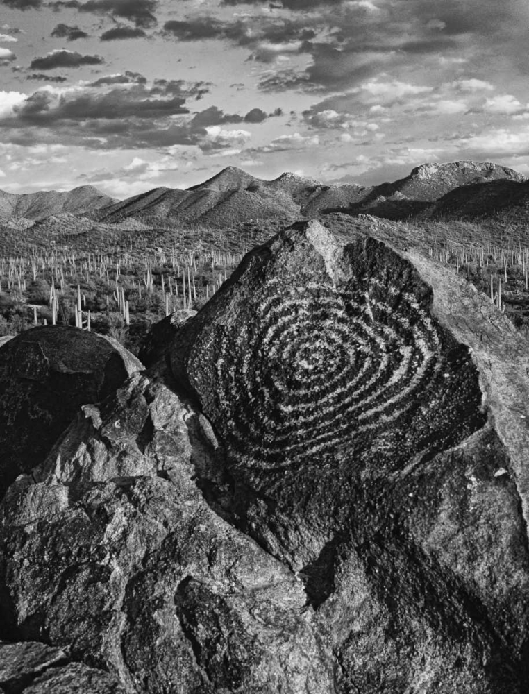 Arizona, Saguaro NP Petroglyphs on Signal Hill art print by Dennis Flaherty for $57.95 CAD