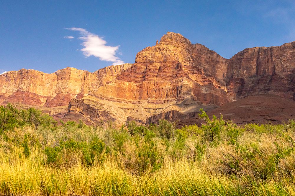 USA-Arizona-Grand Canyon National Park Landscape with cliffs and grasses art print by Jaynes Gallery for $57.95 CAD
