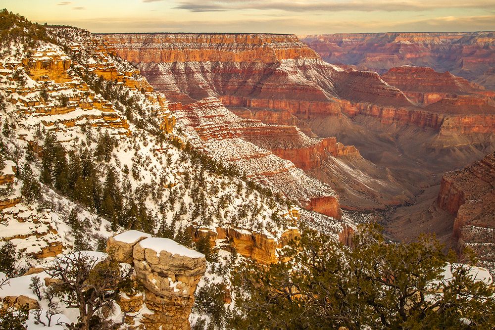 USA-Arizona-Grand Canyon National Park Winter canyon overview from Grandview Point art print by Jaynes Gallery for $57.95 CAD