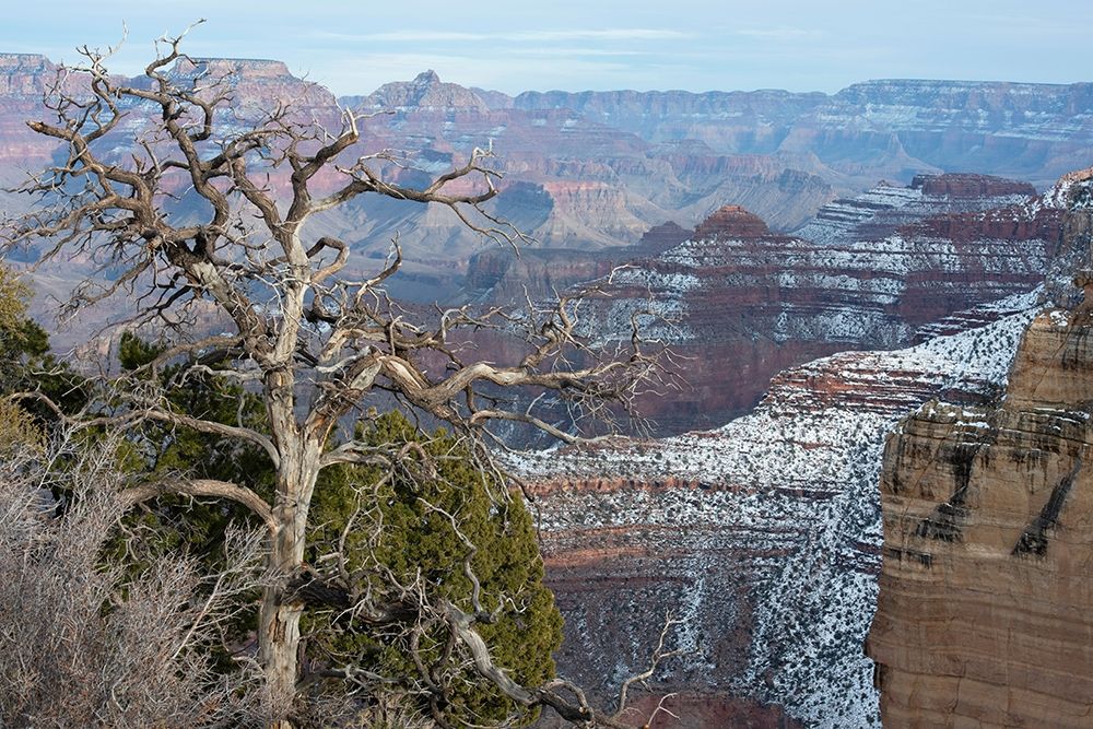 Powell Point-Grand Canyon National Park-Arizona-USA art print by Gerry Reynolds for $57.95 CAD