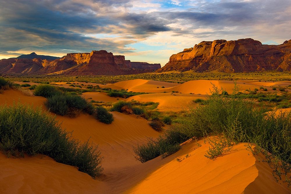Lukachukai desert sand dunes in northern Arizona art print by Steve Mohlenkamp for $57.95 CAD