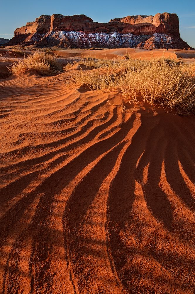 Lukashenka desert sand dunes in northern Arizona art print by Steve Mohlenkamp for $57.95 CAD