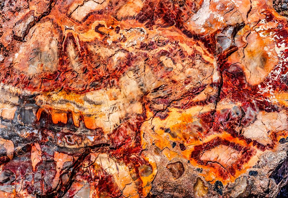 Red-orange and yellow petrified wood abstract-Blue Mesa-Petrified Forest National Park-Arizona art print by William Perry for $57.95 CAD