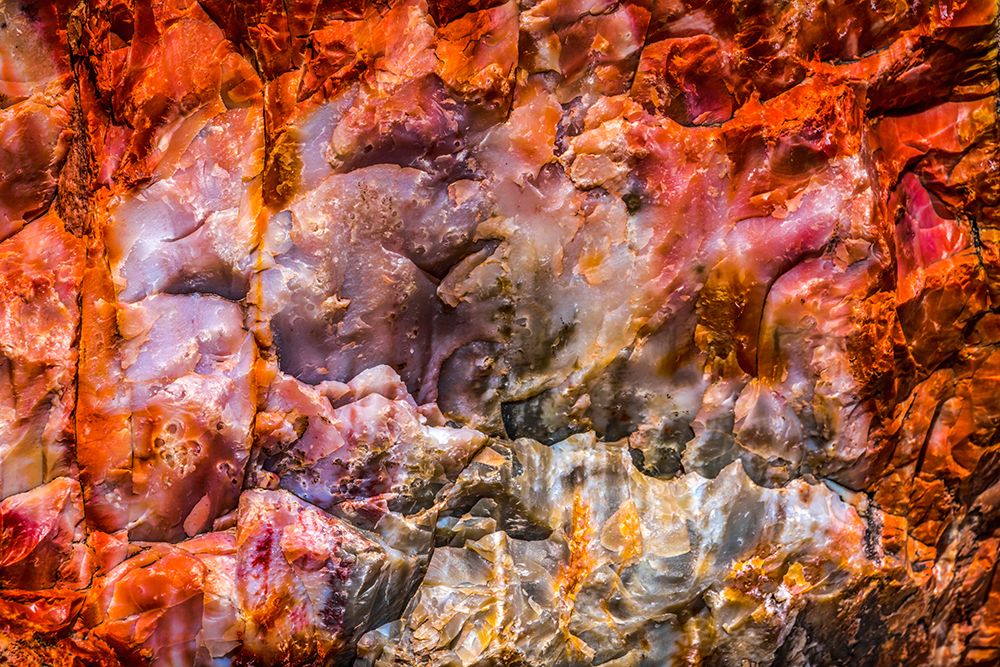 Red-orange and yellow petrified wood abstract-Blue Mesa-Petrified Forest National Park-Arizona art print by William Perry for $57.95 CAD